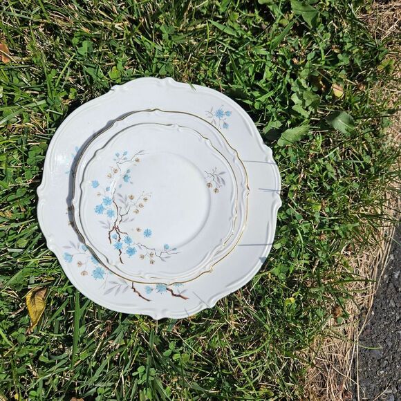 VTG Naomi Dinner Plate - Picture 6 of 8